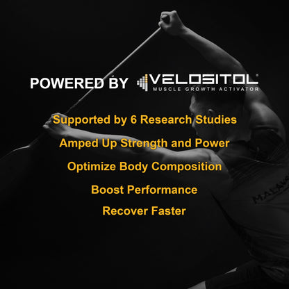 Plant Based Sport Protein - Renee Lane Company