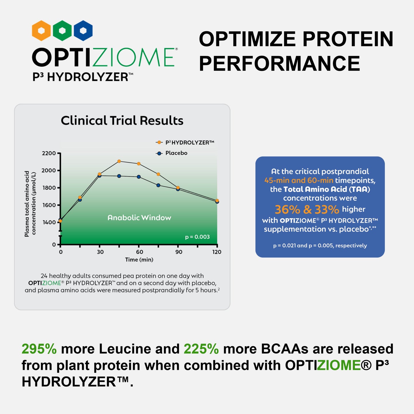 Plant Based Sport Protein - Renee Lane Company