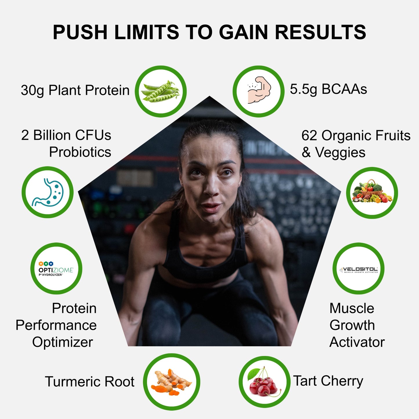 Plant Based Sport Protein - Renee Lane Company