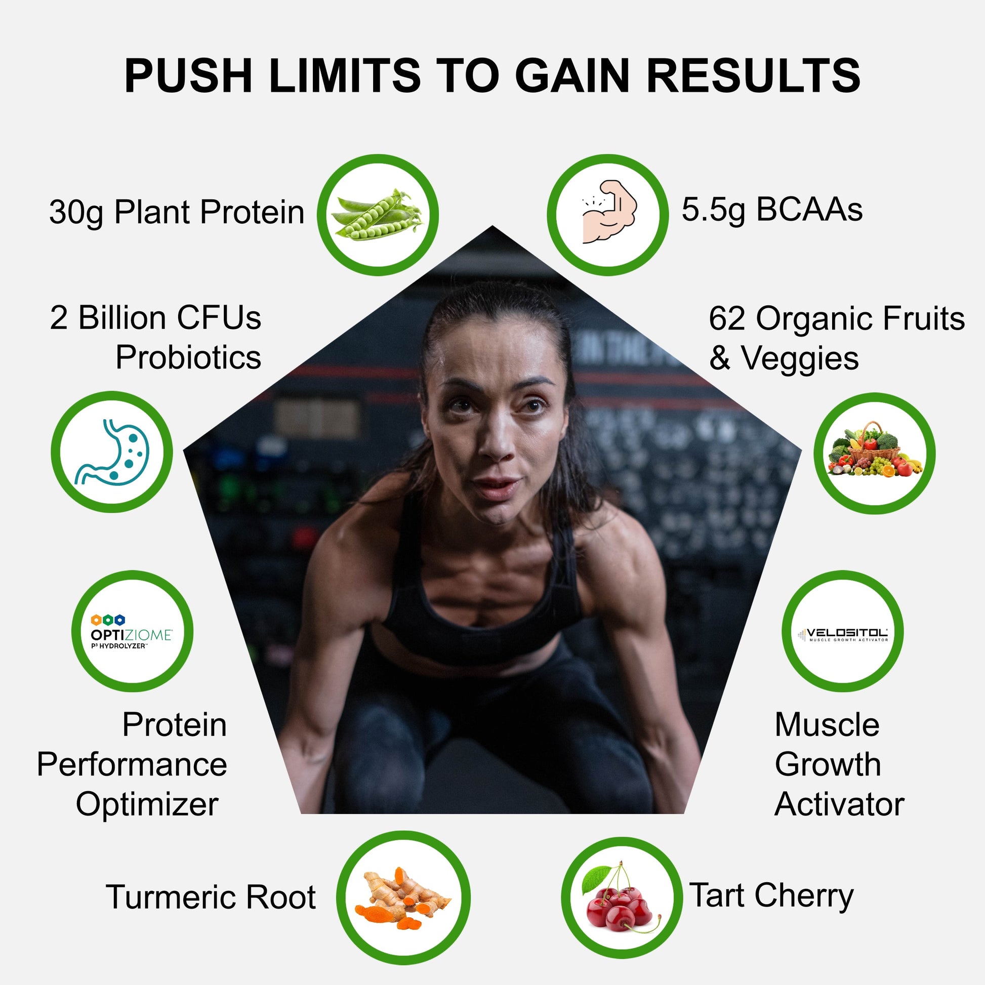 Plant Based Sport Protein - Renee Lane Company