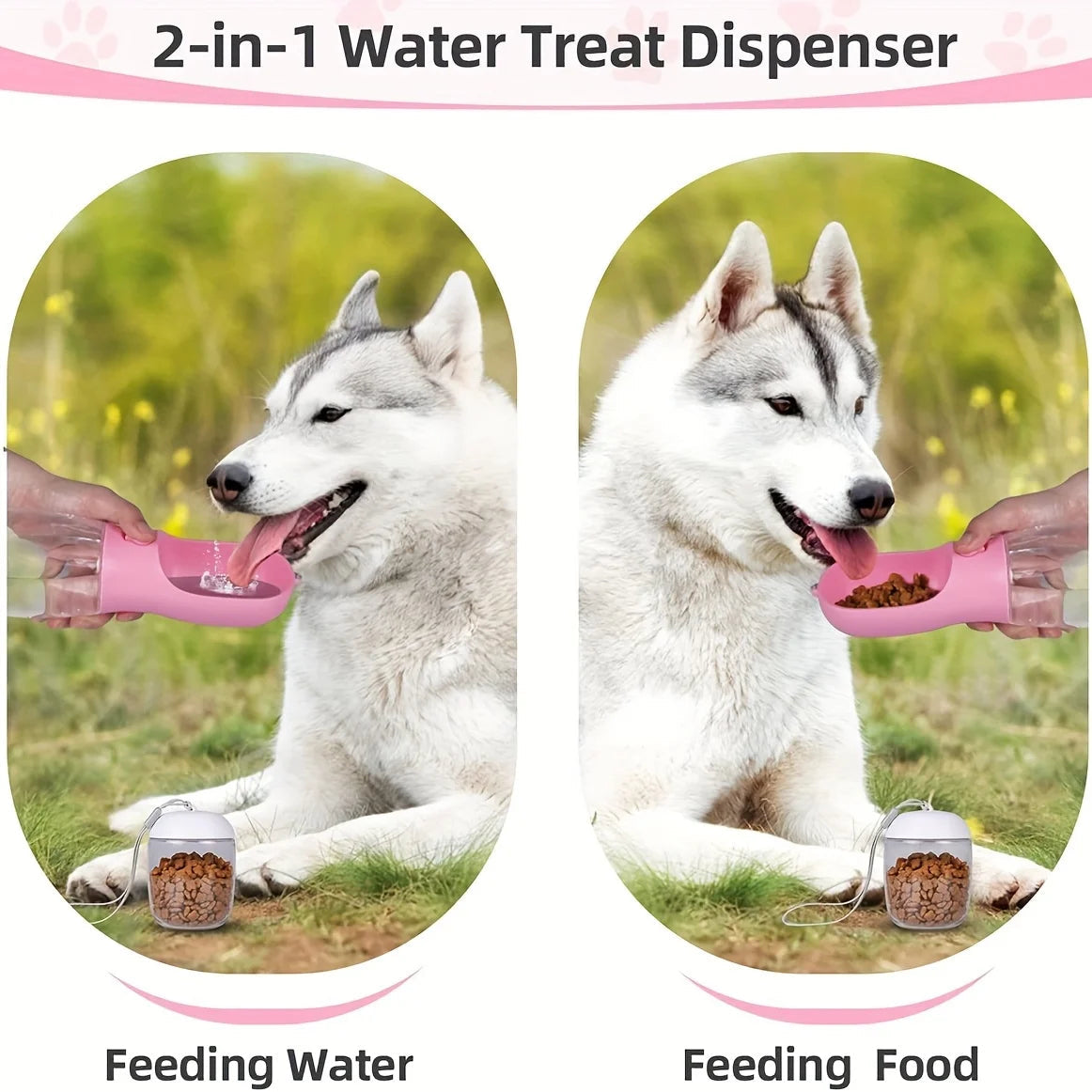 Portable Pet Water Bottle - Renee Lane Company