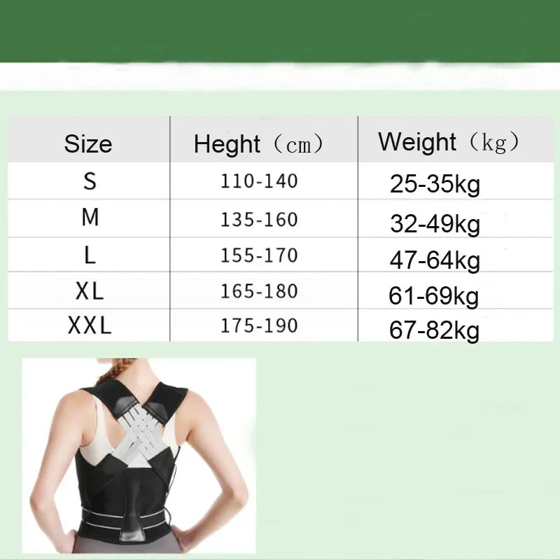 Posture Corrector - Renee Lane Company