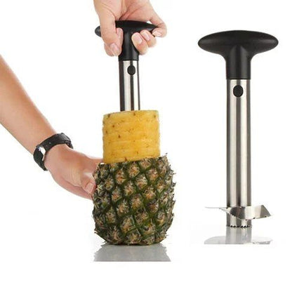 Pretty Prickly Pineapple Peeler The 4P Tool - Renee Lane Company