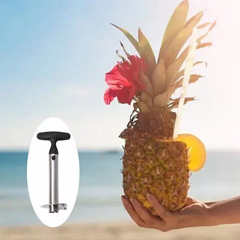 Pretty Prickly Pineapple Peeler The 4P Tool - Renee Lane Company