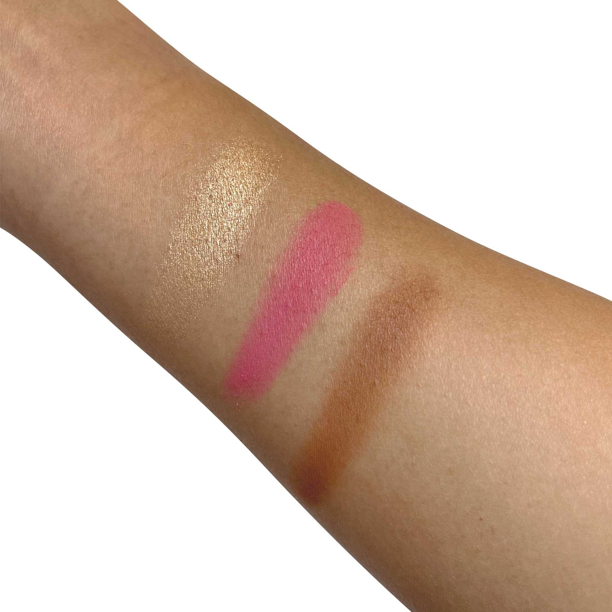 Pro Cheek Palette - Pop - Renee Lane Company