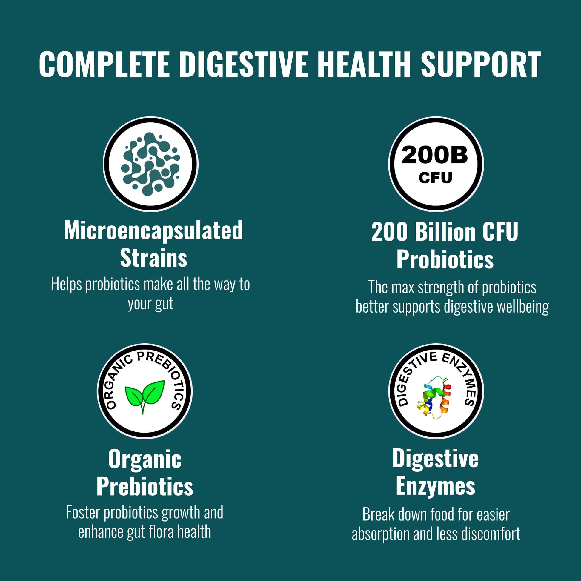 Probiotics 200B CFU - Renee Lane Company