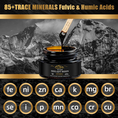 Pure Himalayan Shilajit Resin 30G - Renee Lane Company