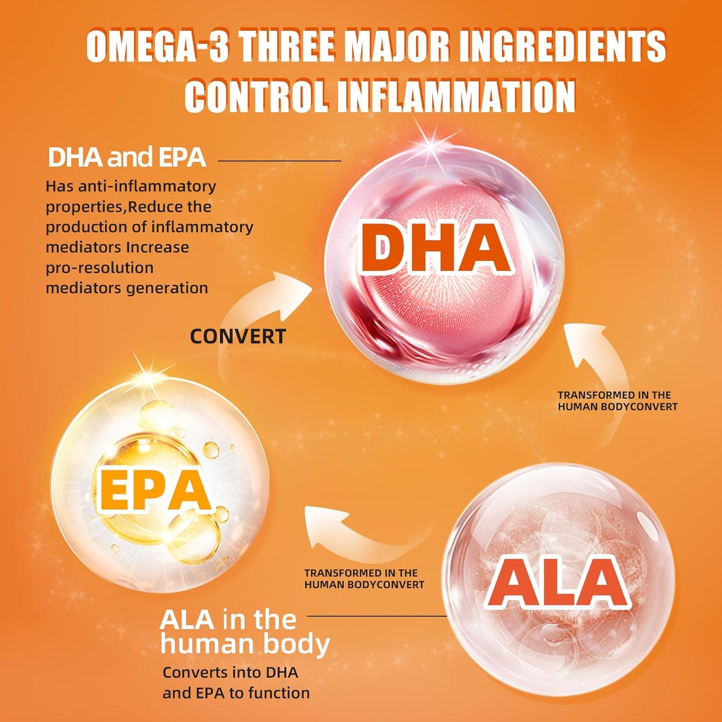 Pure Omega-3 Fish Oil Gummies - Renee Lane Company