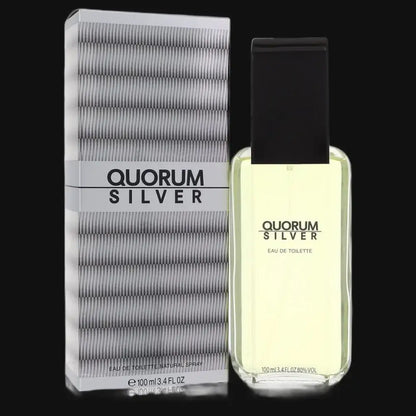 Quorum Silver By Puig Cologne for Men - Renee Lane Company
