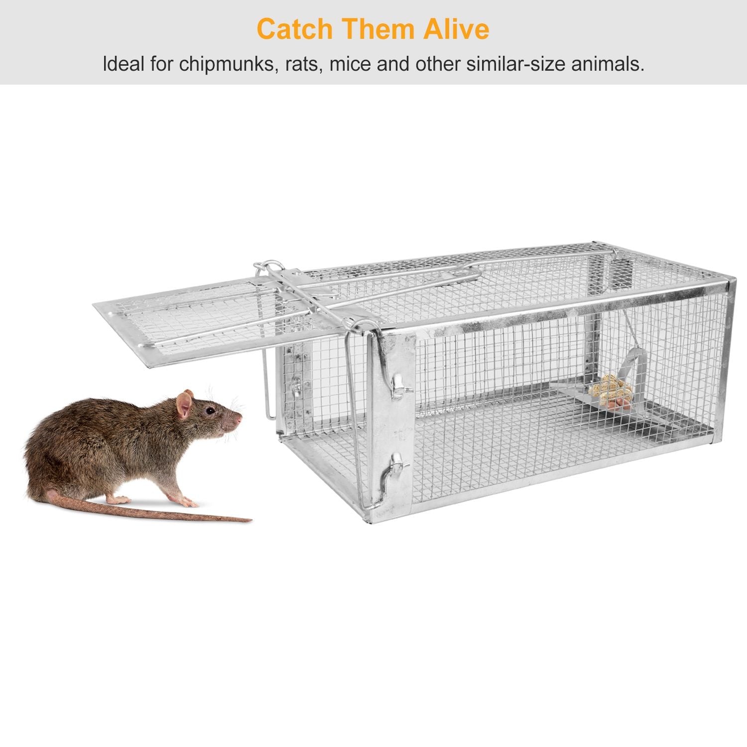 Rat Trap Cage Humane Live Rodent Trap Cage Mouse Control Bait Catch - Renee Lane Company