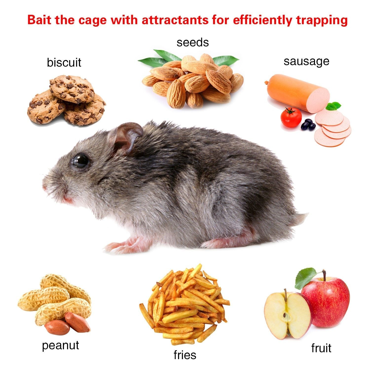 Rat Trap Cage Humane Live Rodent Trap Cage Mouse Control Bait Catch - Renee Lane Company
