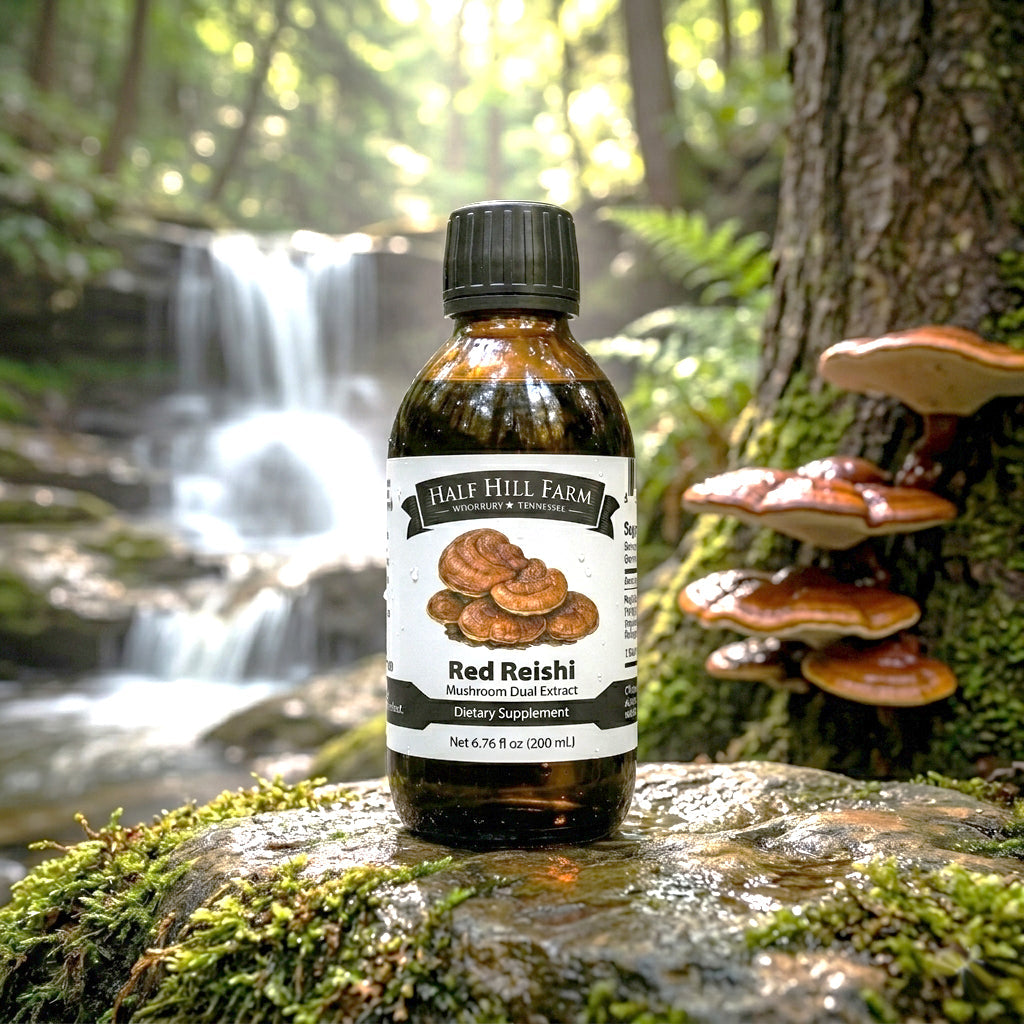 Red Reishi Mushroom Dual Extract - Renee Lane Company