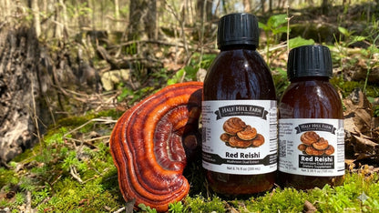 Red Reishi Mushroom Dual Extract - Renee Lane Company