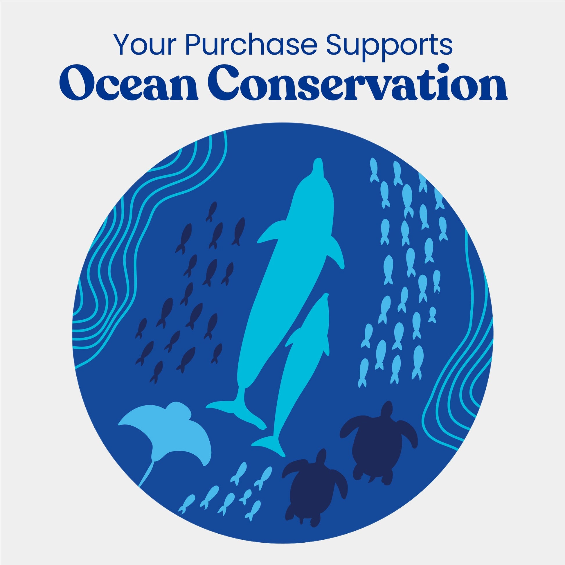 Revolve Manual Toothbrush Heads - Ocean Conservation - Renee Lane Company