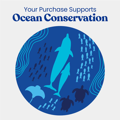 Revolve Manual Toothbrush Heads - Ocean Conservation - Renee Lane Company