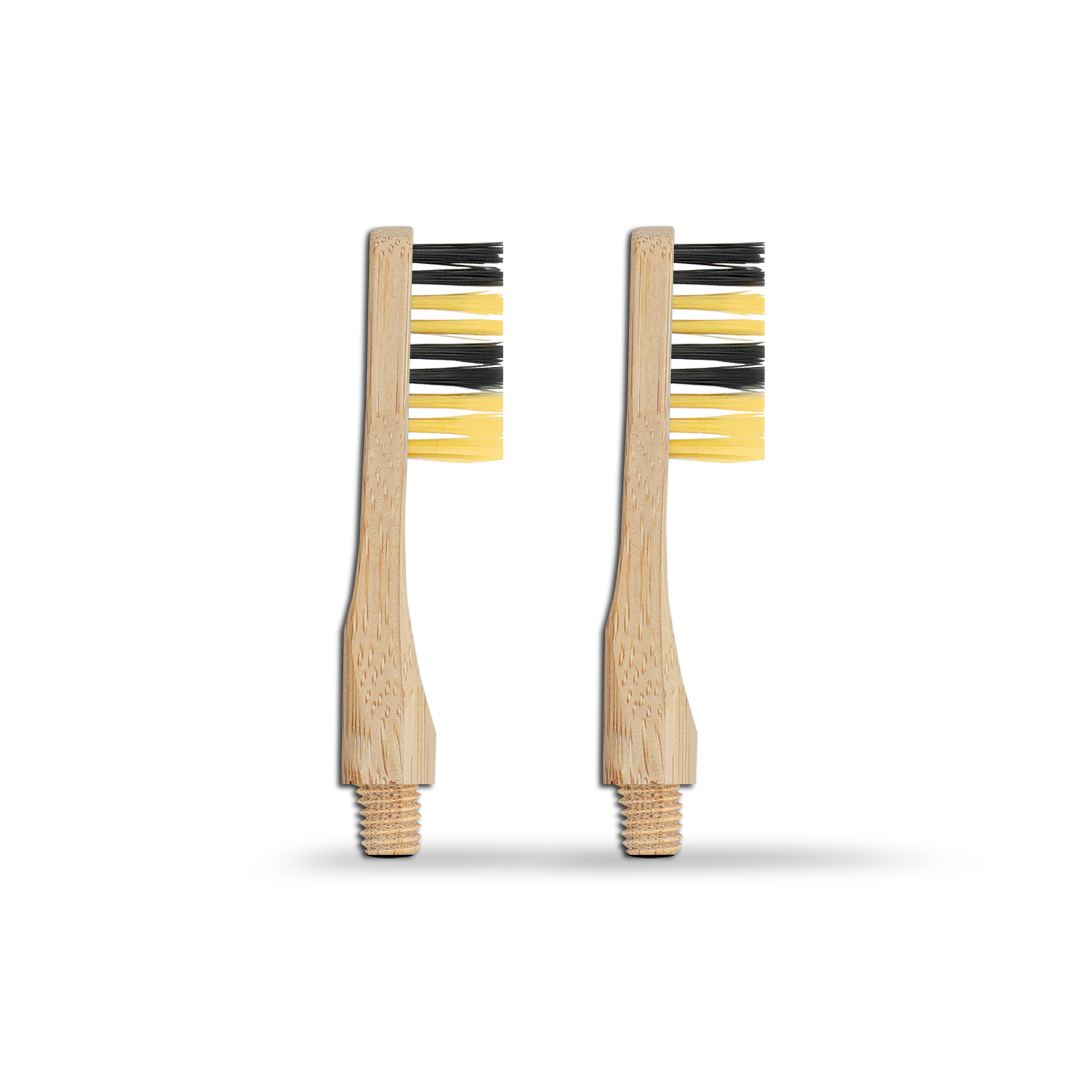 Revolve Manual Toothbrush Heads - Save the bees - Renee Lane Company