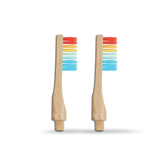 Revolve Refill Toothbrush Heads - LGBTQ+ Equality - Renee Lane Company