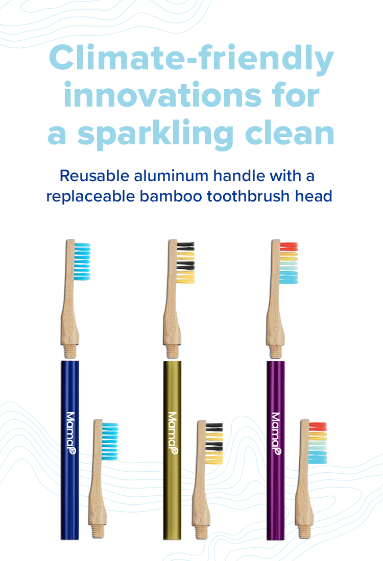 Revolve Toothbrush Starter Set - Renee Lane Company