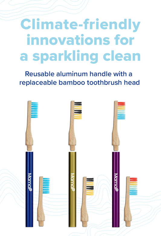Revolve Toothbrush Starter Set - Renee Lane Company