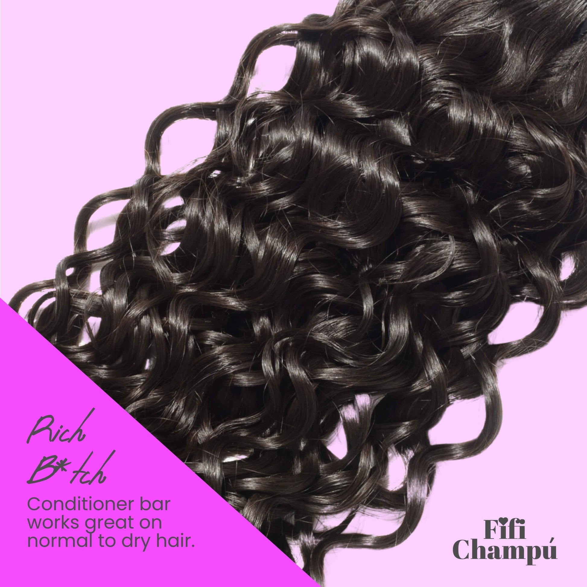 Rich B*tch Conditioner Bar: Luxuriously Nourishing for Dry, Thirsty Hair - Renee Lane Company