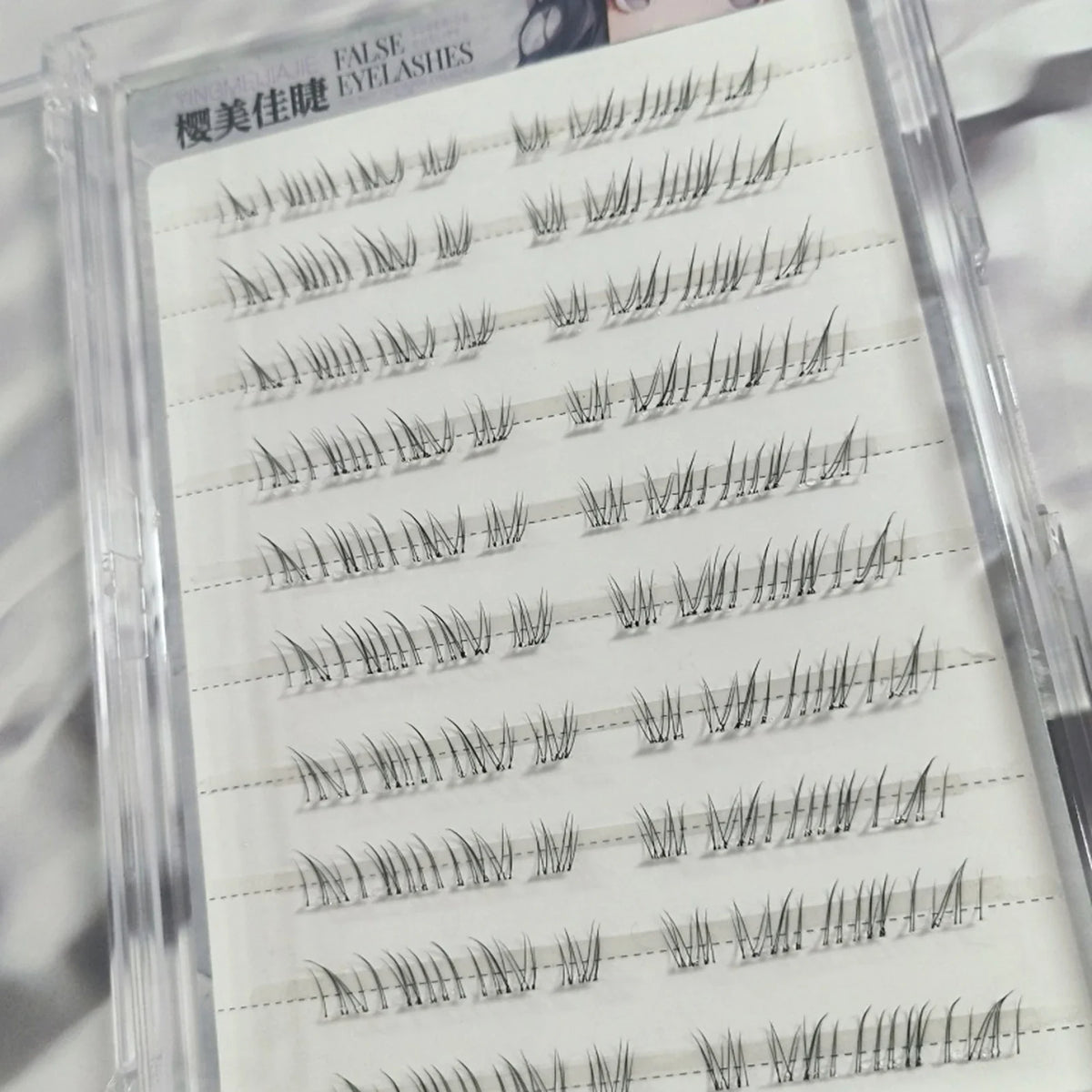 Clear tray display of wispy false eyelash clusters arranged in rows