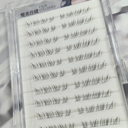 Clear tray display of wispy false eyelash clusters arranged in rows