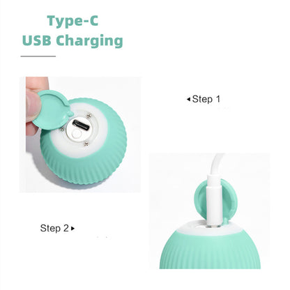 Mint teal cat ball toy with Type-C USB charging port on the top panel