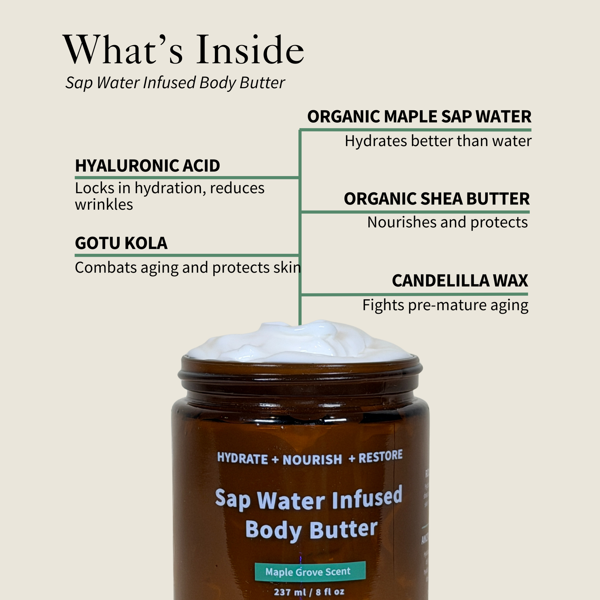 Sap Water Infused Body Butter - Renee Lane Company