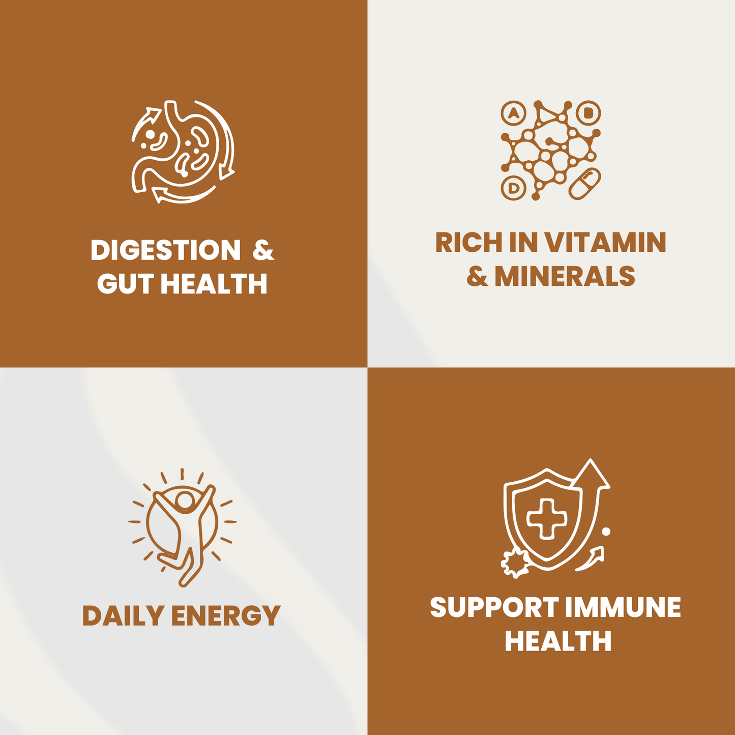 Sea Moss Capsules - Renee Lane Company