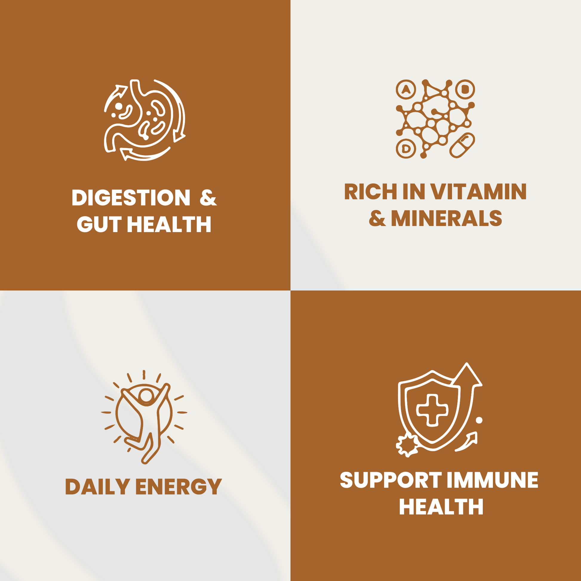 Sea Moss Capsules - Renee Lane Company