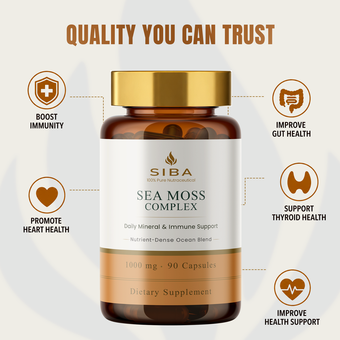 Sea Moss Capsules - Renee Lane Company
