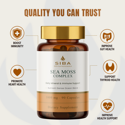 Sea Moss Capsules - Renee Lane Company