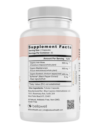 Sea Moss Superfood for Women's Wellness - Renee Lane Company