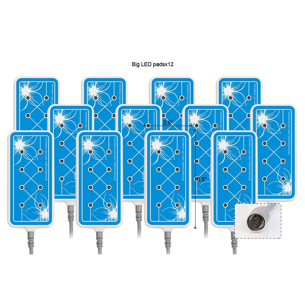 Shape Tactics 16-Pad 160mW LED Lipo Laser System - Renee Lane Company
