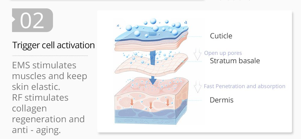 Shape Tactics 2-in-1 RF EMS Mesotherapy Skin Rejuvenation System - Renee Lane Company