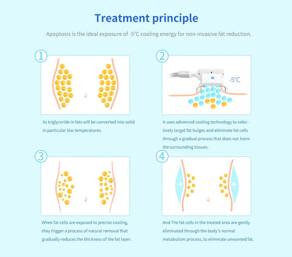 Shape Tactics 4-in-1 Cryolipolysis Cavitation RF Body Contouring System - Renee Lane Company
