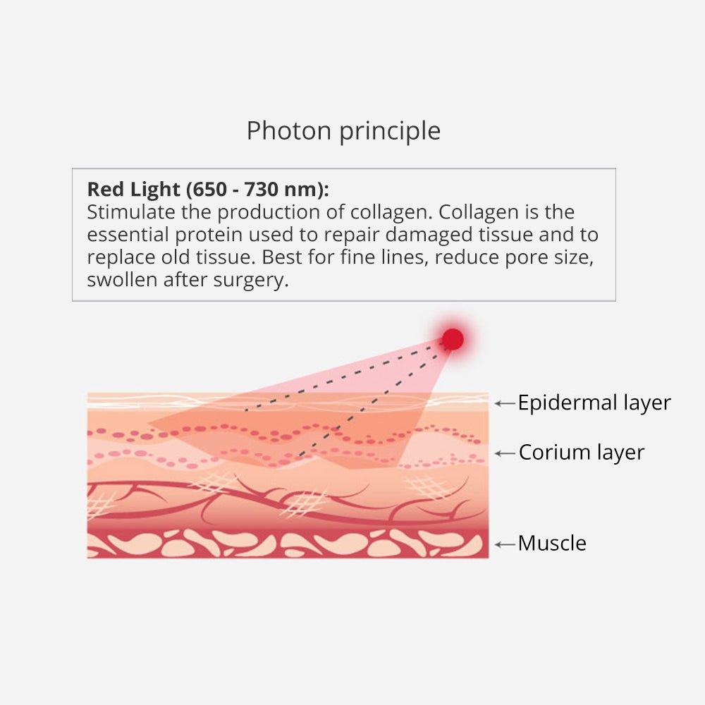 Shape Tactics 5-in-1 Cavitation RF Vacuum Body Contouring System - Renee Lane Company