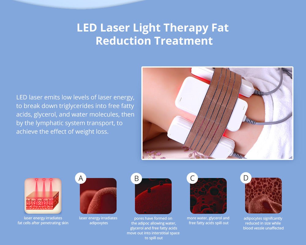 Shape Tactics 5-in-1 Cavitation RF Vacuum LED Laser Body Contouring System - Renee Lane Company