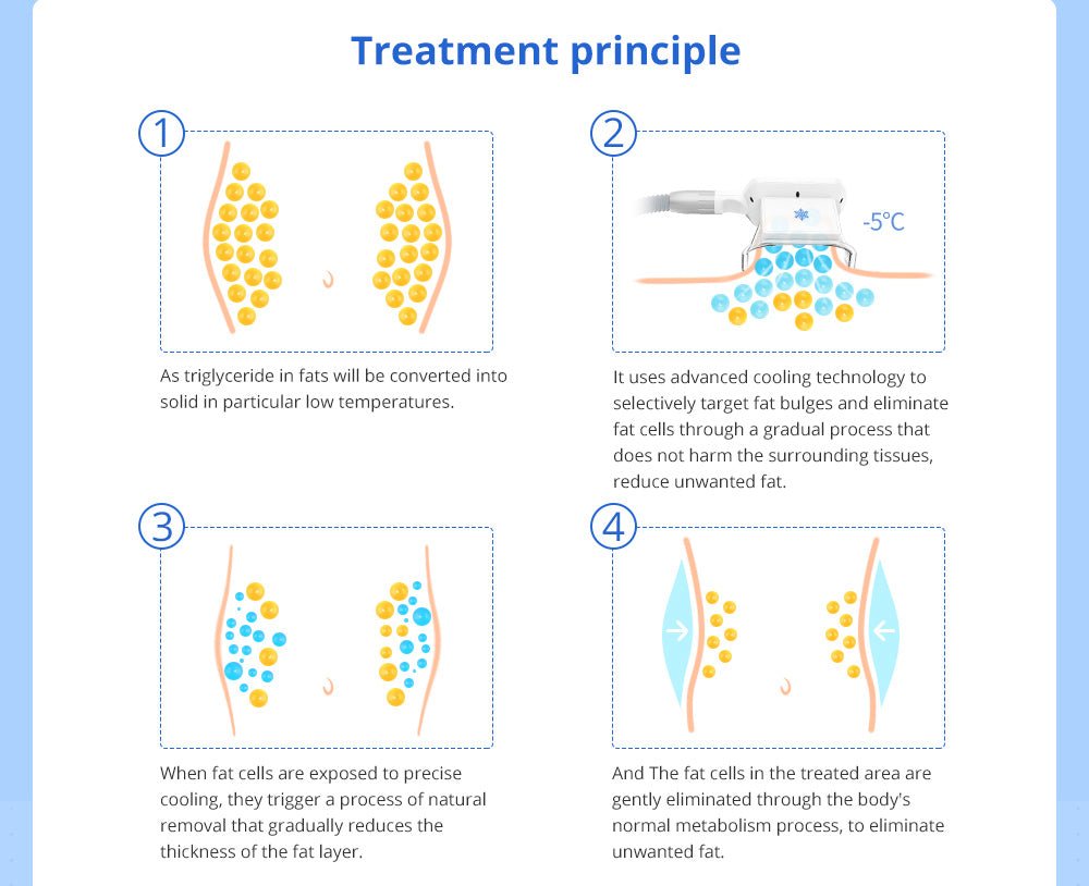 Shape Tactics 5-in-1 Cavitation RF Vacuum LED Laser Body Contouring System - Renee Lane Company