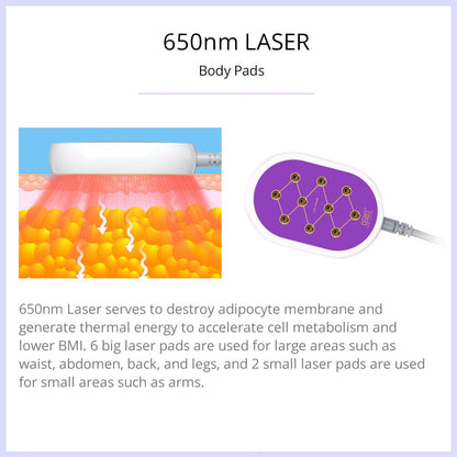 Shape Tactics 6-in-1 30K Cavitation Vacuum Lipo RF - Renee Lane Company