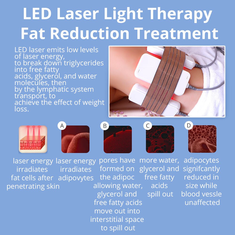 Shape Tactics 6-in-1 Cavitation RF Cryolipolysis Lipo Laser System - Renee Lane Company