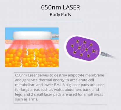 Shape Tactics 6-in-1 Cavitation RF LED Laser Lipo System - Renee Lane Company