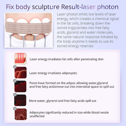 Shape Tactics 9-in-1 Ultrasonic Cavitation RF Lipo Laser Body Contouring System - Renee Lane Company