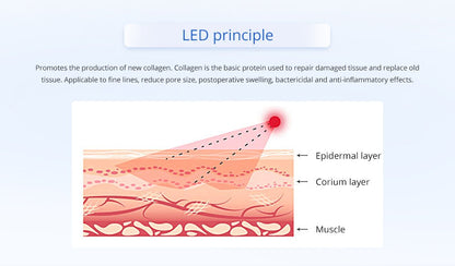 Shape Tactics Cryotherapy 40K Cavitation & RF Contouring System - Renee Lane Company