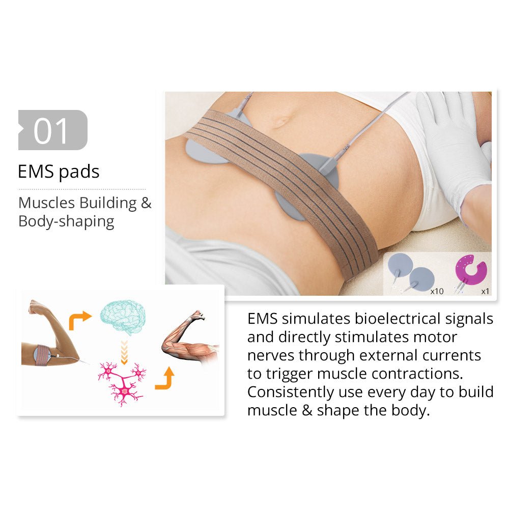 Shape Tactics EMS Muscle Stimulation and Vacuum Therapy System - Renee Lane Company