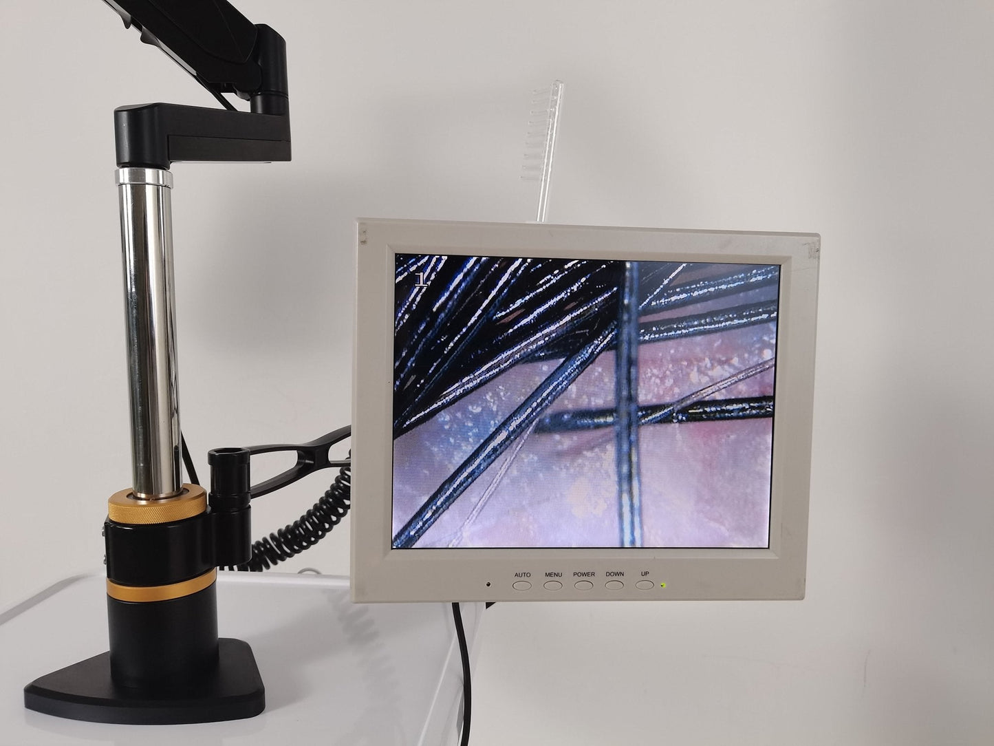 Shape Tactics Laser Hair Restoration with Oxygen Detection - Renee Lane Company