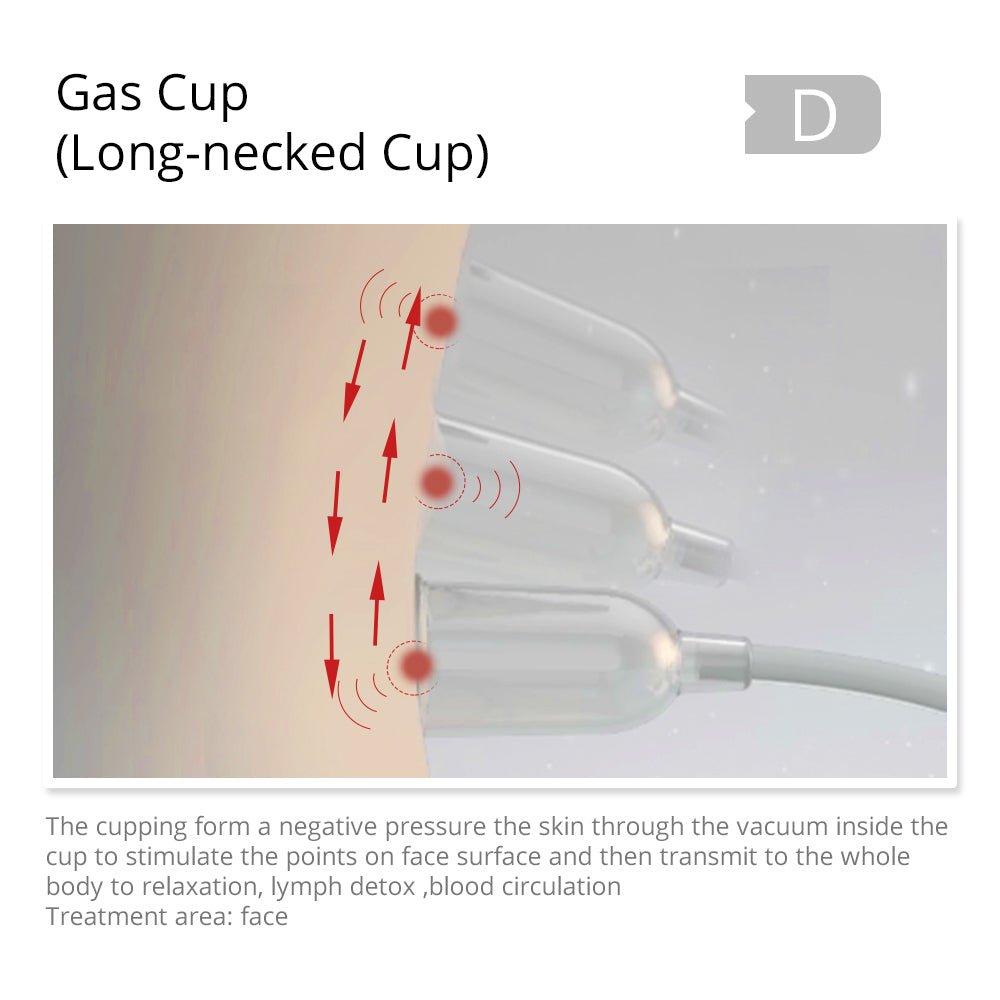 Shape Tactics Lymphatic & Vacuum System - Renee Lane Company
