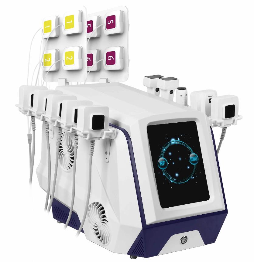 Shape Tactics Multi-Directional EMS RF Contouring System - Renee Lane Company