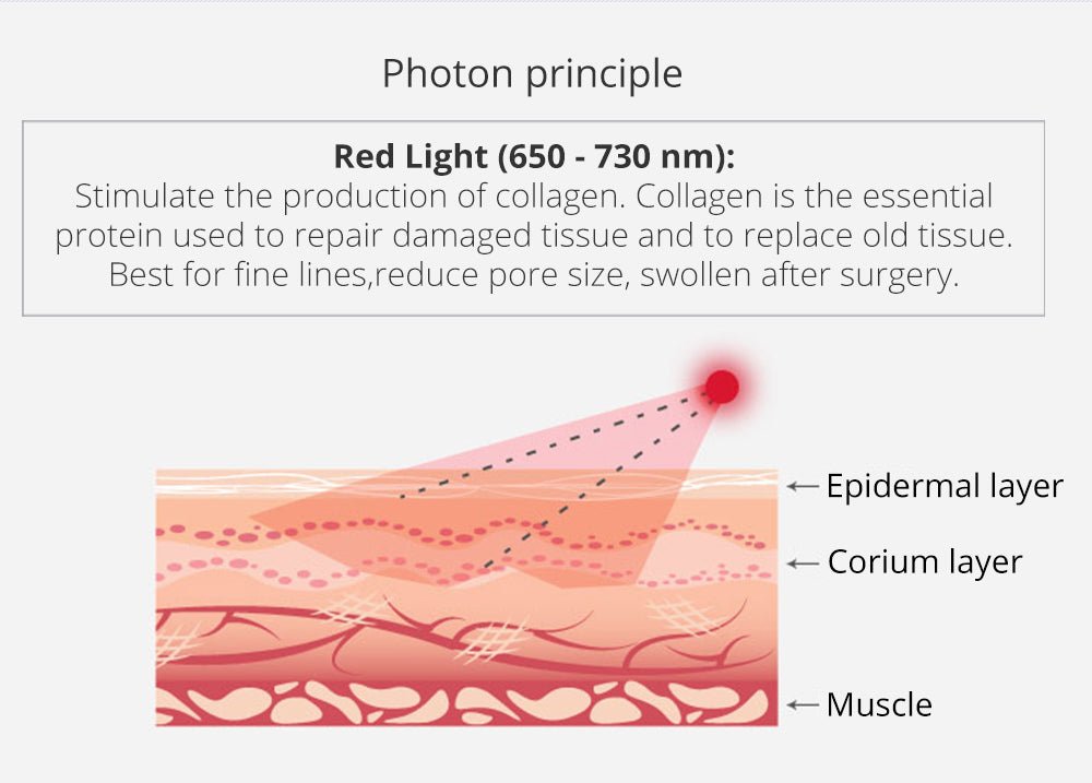 Shape Tactics Portable 6-in-1 Cavitation RF Vacuum Lipo Laser System - Renee Lane Company
