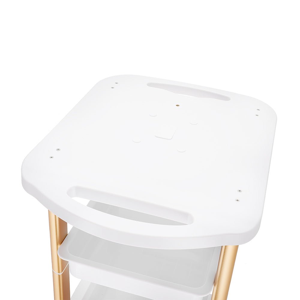Shape Tactics Rolling Beauty Trolley for Salon and Spa - Renee Lane Company